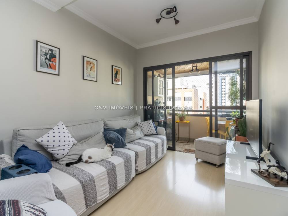 Apartamento à venda na Rua Ibaragui NissuiJardim Vila Mariana - apartamento-jardim-vila-mariana-sao-paulo-sp-173247-0.jpeg