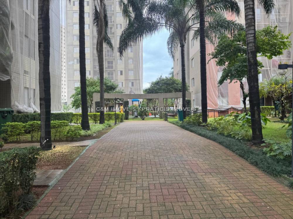 Apartamento à venda na Rua Alexandre LeviCambuci - apartamento-cambuci-sao-paulo-sp-110740-1.jpeg