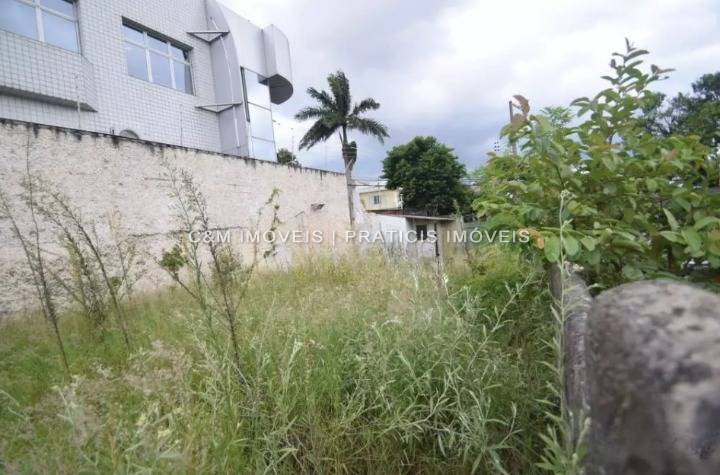 Terreno à venda na Rua GuapiaçuVila Clementino - terreno-vila-clementino-sao-paulo-sp-205224-11.jpeg