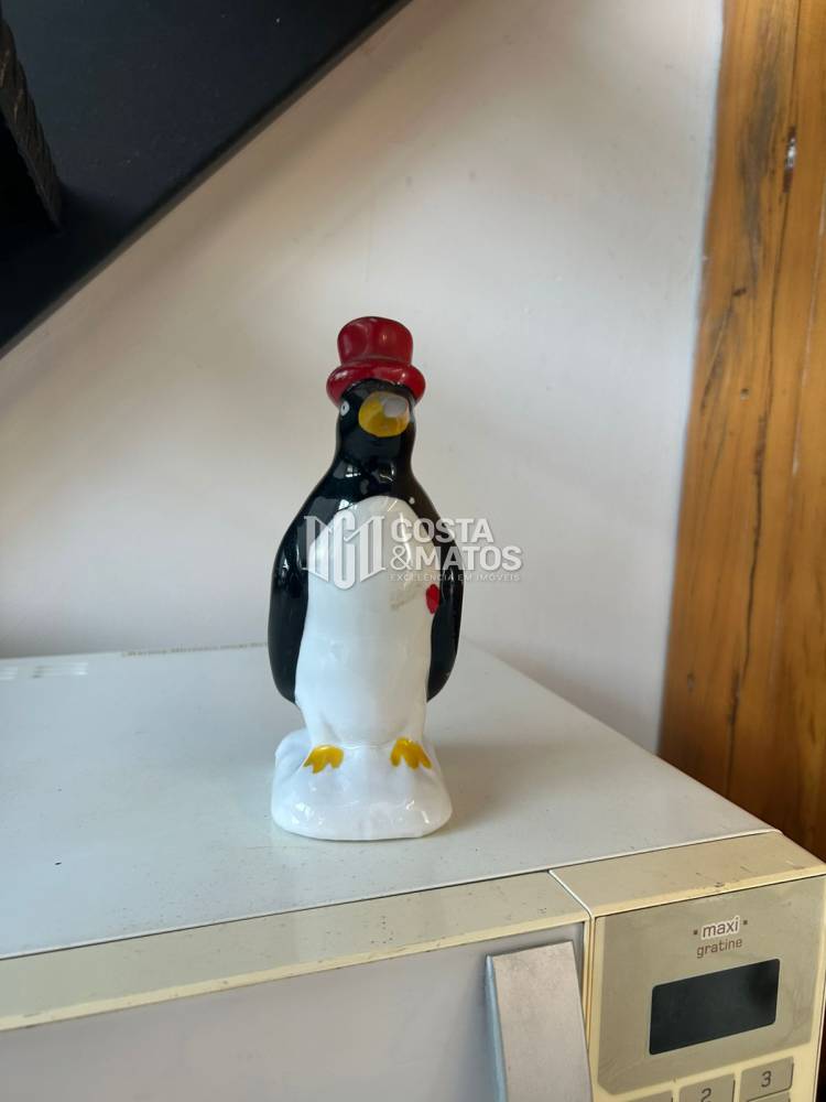 Apartamento Duplex para alugar na Rua das CaméliasMirandópolis - apartamento-duplex-mirandopolis-sao-paulo-sp-105547-14.jpeg