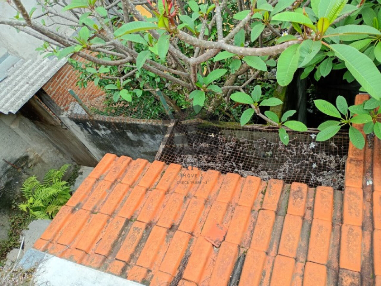 Casa à venda na Cláudio RossiJardim da Glória - CM18217007.jpg