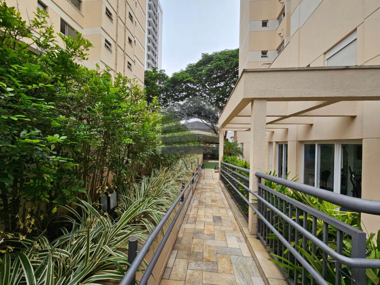 Apartamento à venda na Rua Major MaraglianoVila Mariana - CM14495043.jpg
