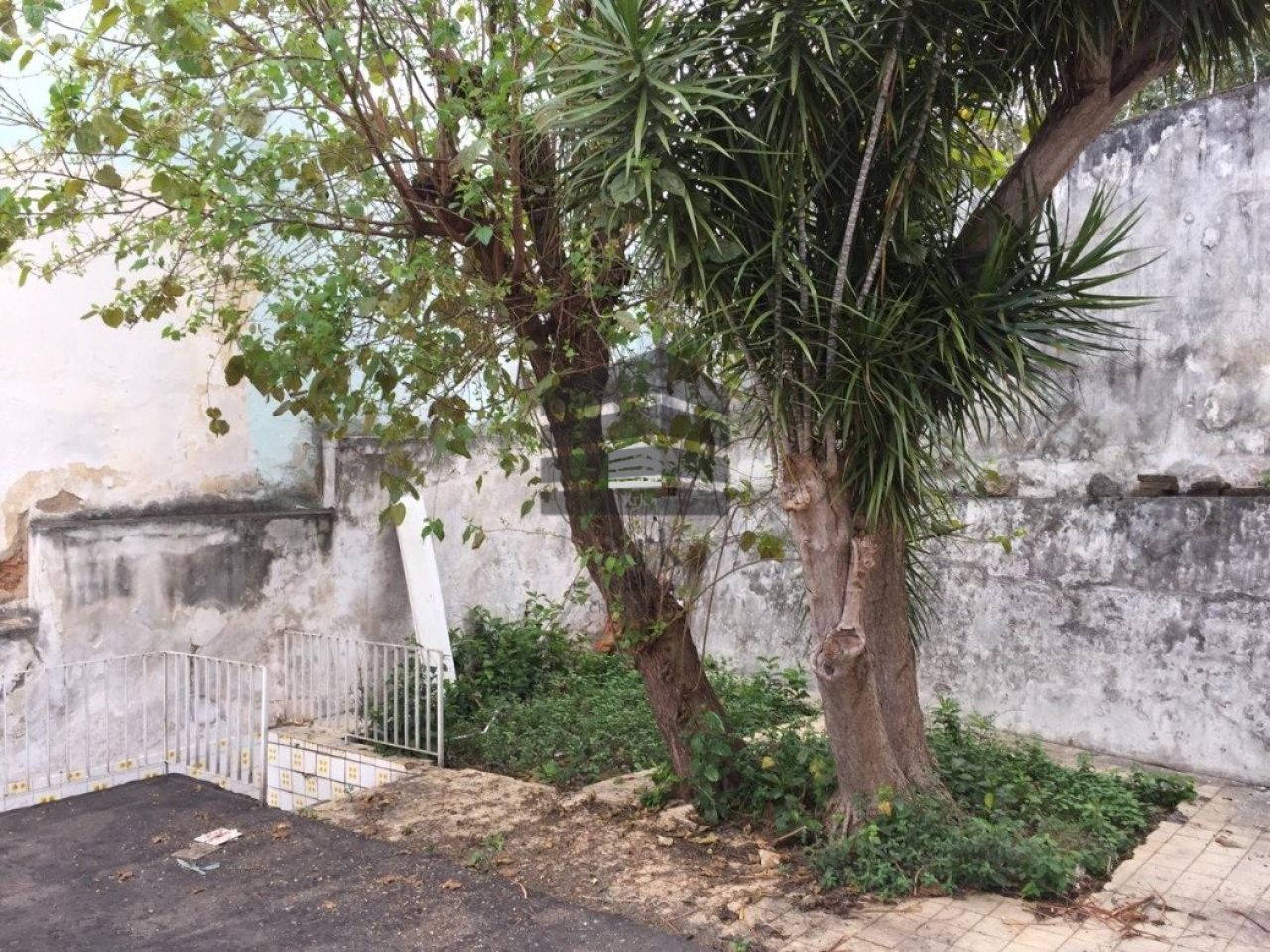 Casa à venda na Rua Doutor Inácio ArrudaVila Monumento - CM13545004.jpg