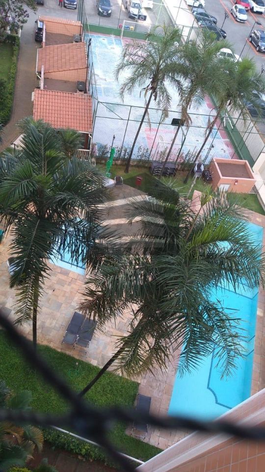 Apartamento à venda na Rua Alexandre LeviCambuci - CM16933019.jpg