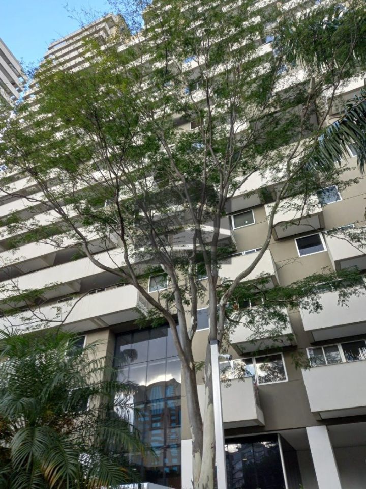Sala Comercial à venda na Rua VergueiroVila Mariana - CM13102031.jpg