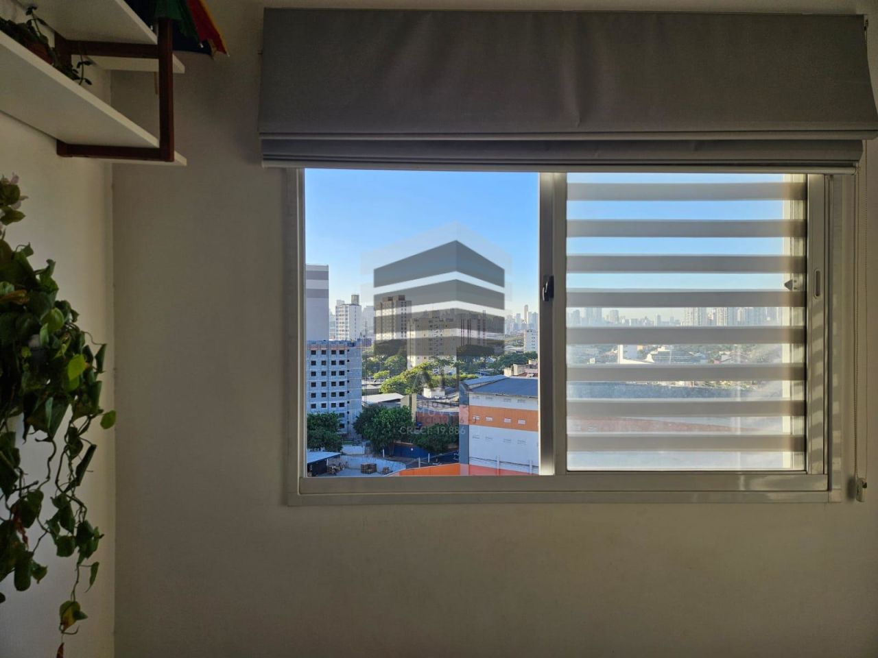 Apartamento à venda na Rua Alexandrino da Silveira BuenoCambuci - CM15058011.jpg