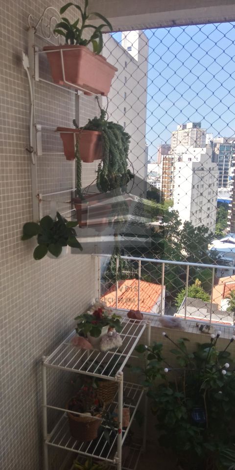 Apartamento à venda na RUA CORREIA DIASParaíso - CM17308042.jpg